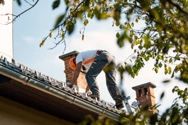 Best Solar Panel Roofing Installation  in Pontotoc, MS