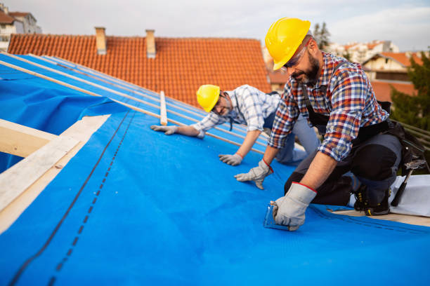 Best Roof Ventilation Installation  in Pontotoc, MS