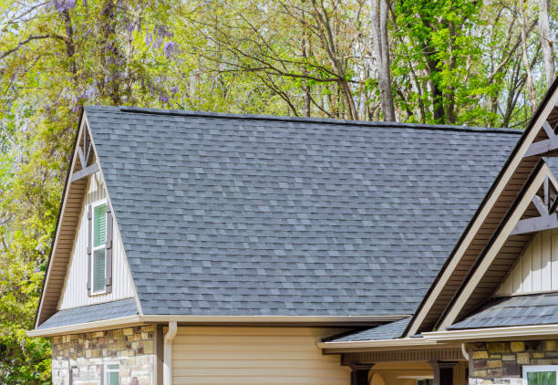 Best Roof Insulation Installation  in Pontotoc, MS