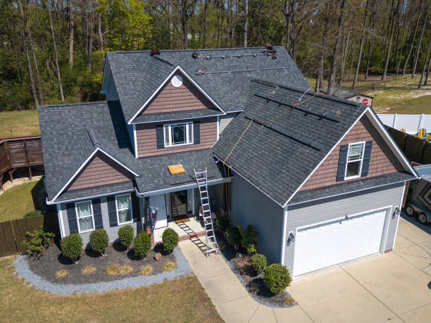Best Roof Moss and Algae Removal  in Pontotoc, MS